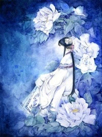 風雲網